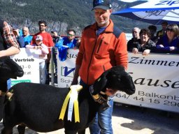 2019_ausstellung polling_283